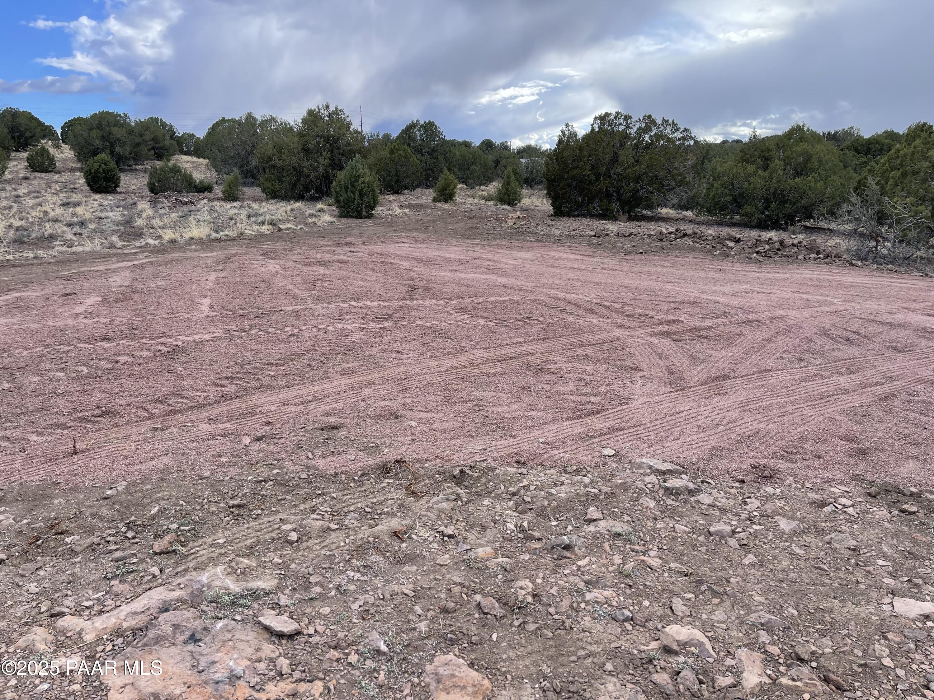 104 North Gray Gos Road Chino Valley, AZ 86323 - Photo 10 of 14 a view of outdoor space with green field and trees