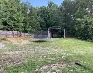 a view of a backyard with large trees and wooden fence