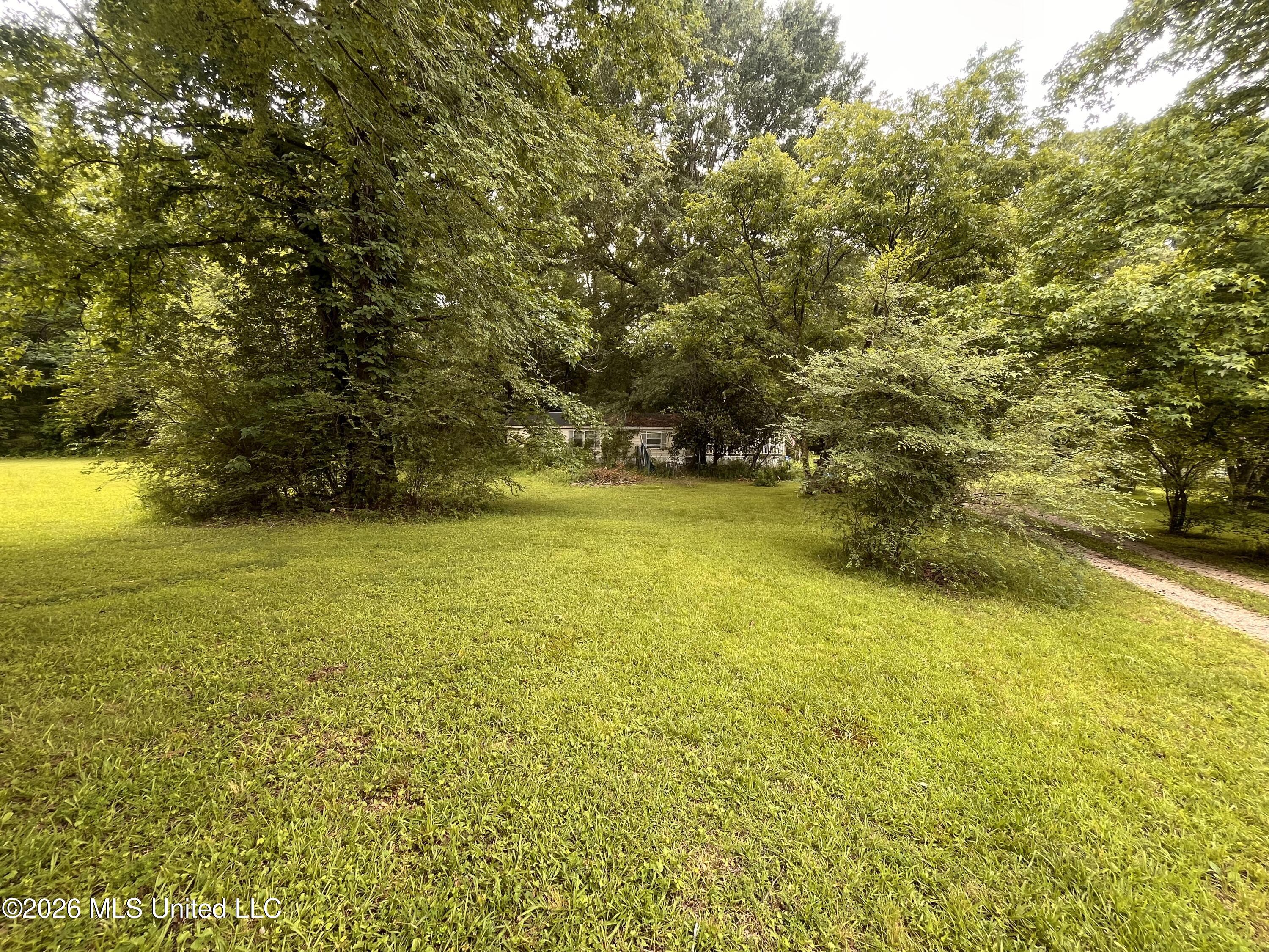 53 Lenzi Road Byhalia, MS 38611 - Photo 5 of 17 IMG_5850 (1)