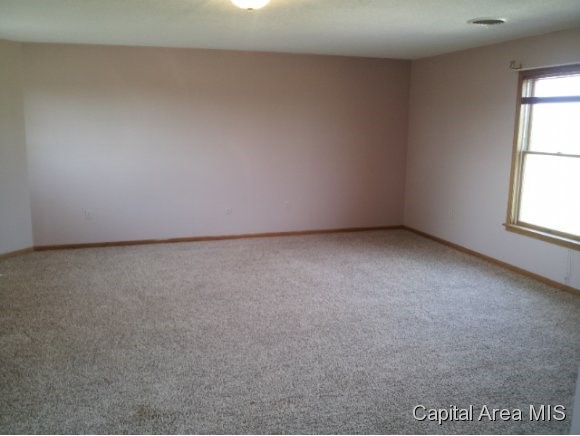 15080 North Humbert Road Brighton, IL 62012 - Photo 8 of 21