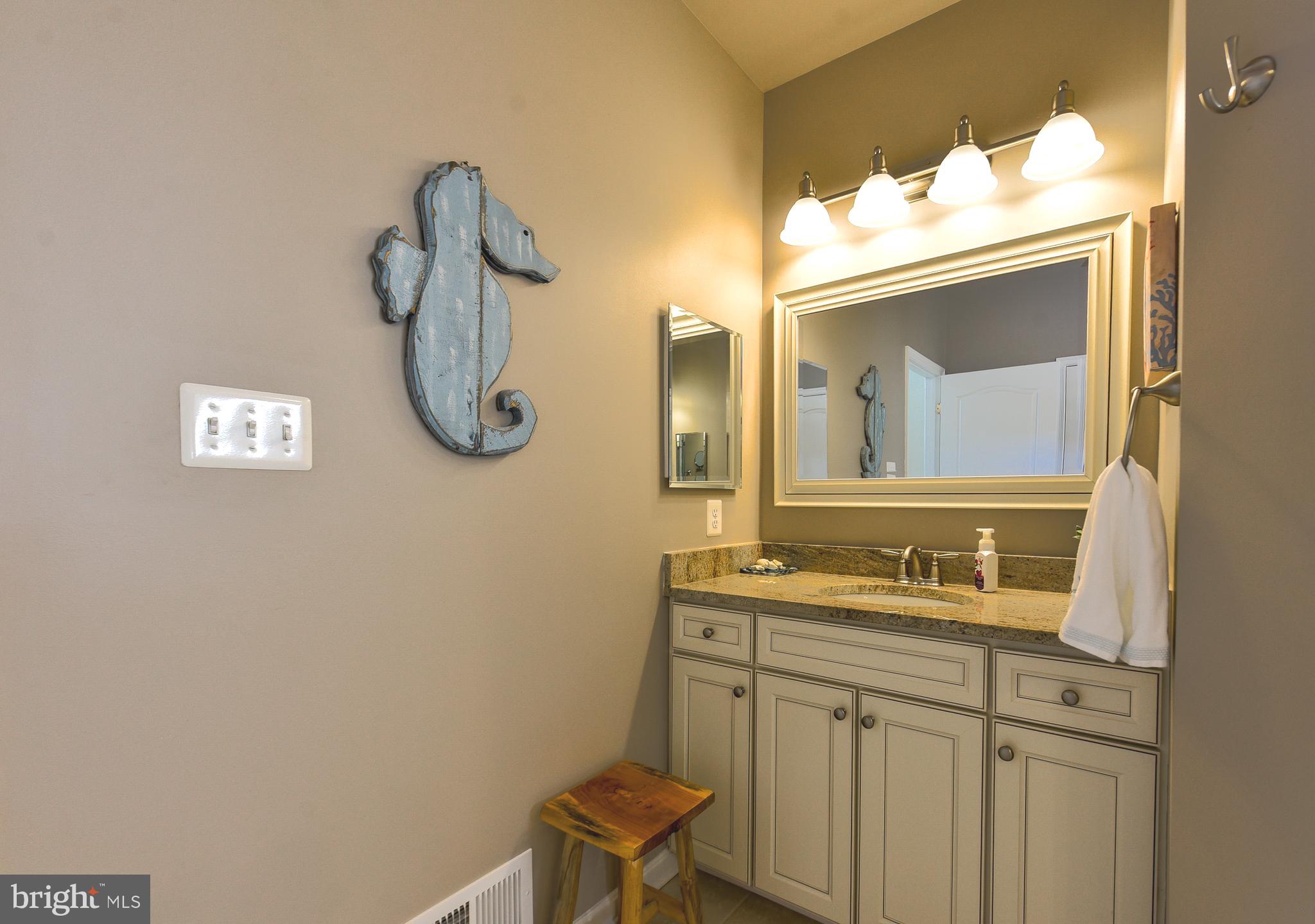 34148 Spring Brook Avenue Lewes, DE 19958 - Photo 26 of 77 a bathroom with a sink vanity and a mirror