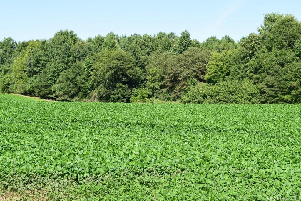 Lot #2 Sincerity Road, Unit LOT #2 Monroe, NC 28110 - Photo 2 of 3