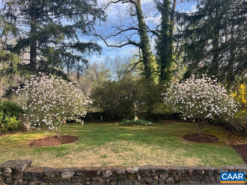 42 Old Farm Road Charlottesville, VA 22903 - Photo 21 of 35