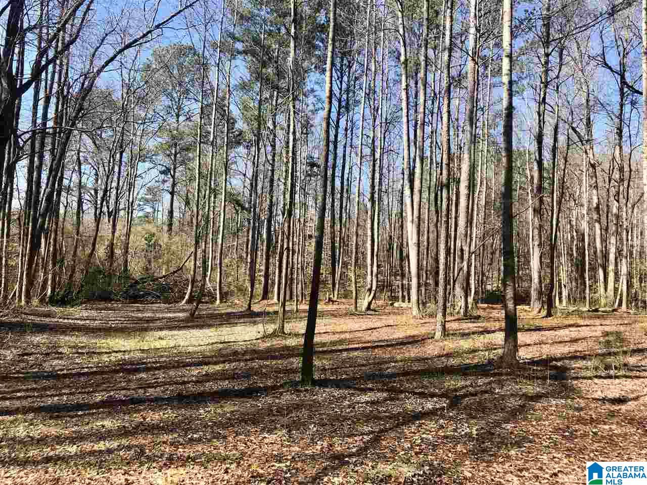 Campbell Street, Unit 1 Heflin, AL 36264 - Photo 2 of 15