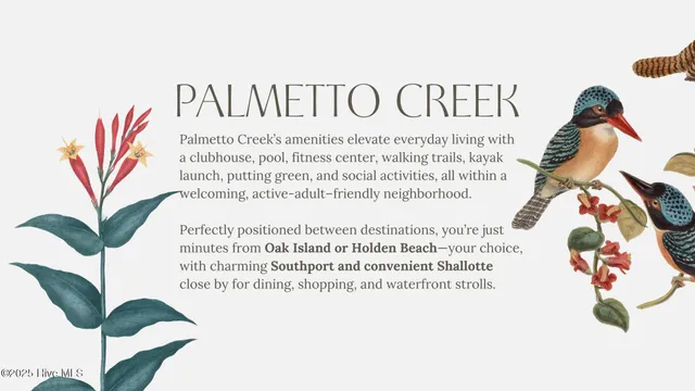 $465,000 | 1166 Serotina Drive Southeast, Bolivia, NC 28422