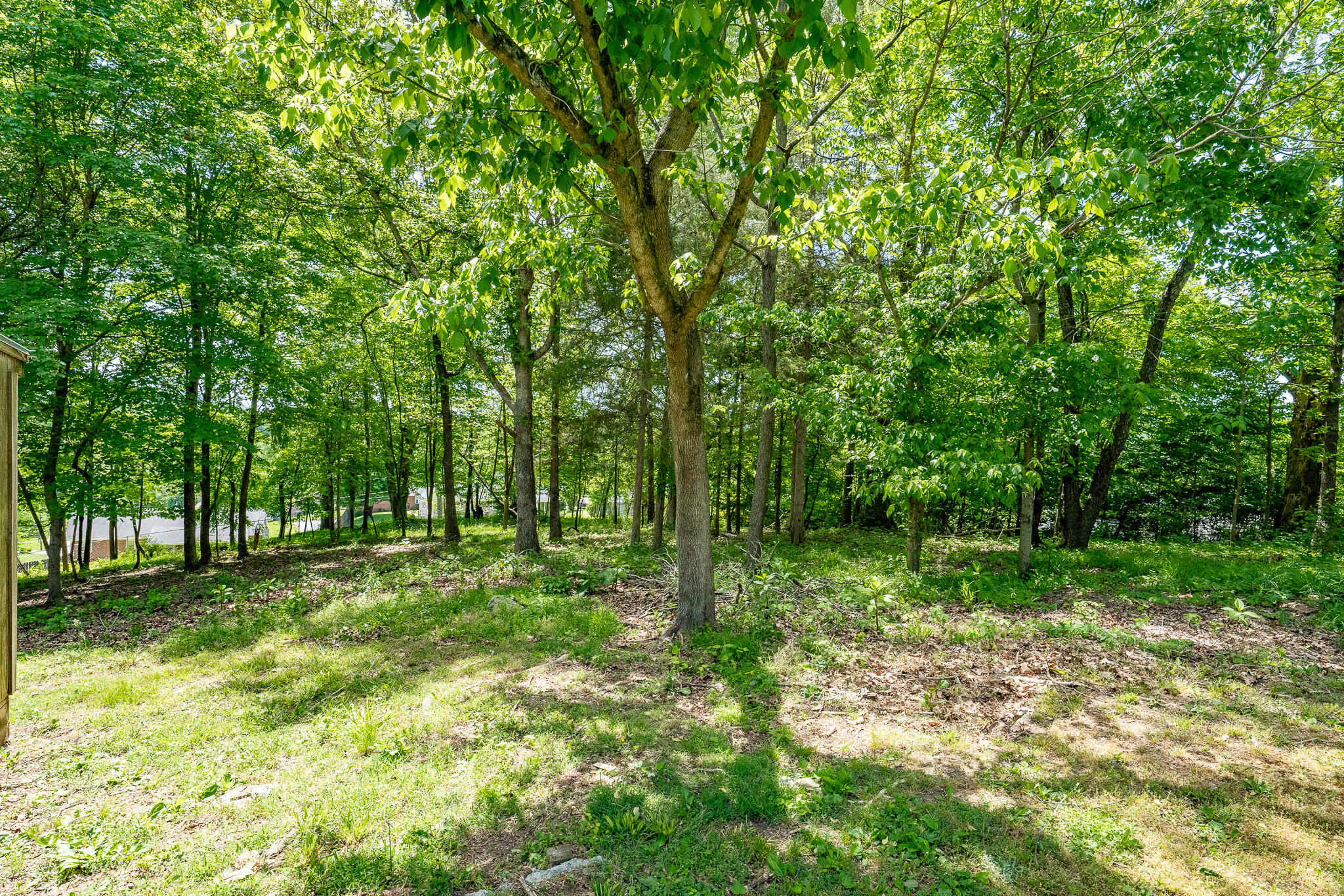 308 Oak Road Bristol, TN 37620 - Photo 28 of 34 308 Oak Road (19 of 42)