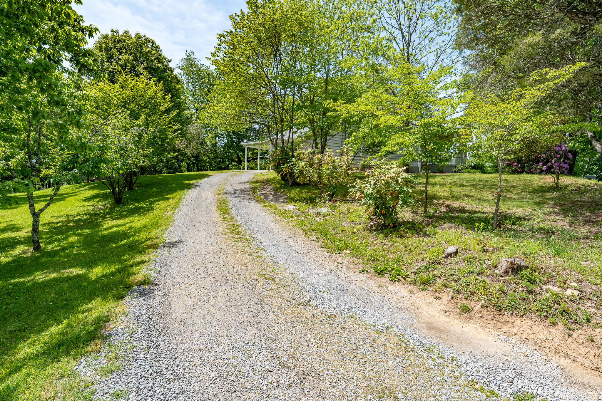 308 Oak Road Bristol, TN 37620 - Photo 33 of 34 308 Oak Road (8 of 42)