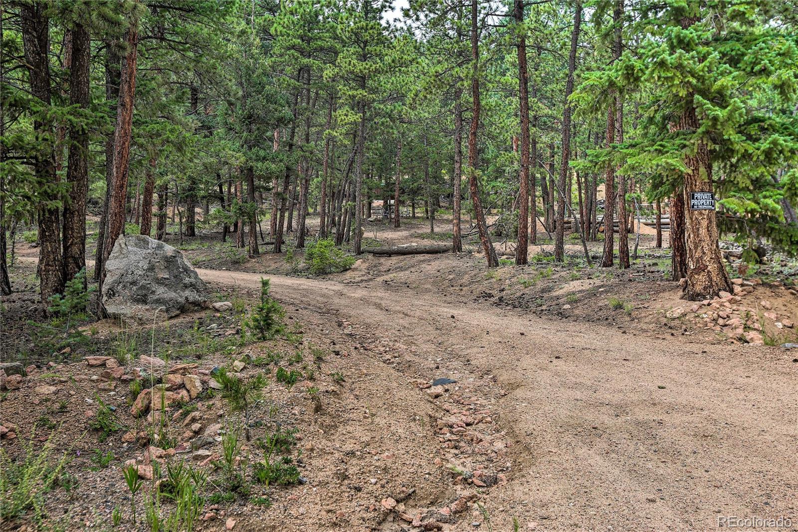 345 Old Sawmill Road Bailey, CO 80421 - Photo 37 of 39 a backyard of a house with lots of green space and deers