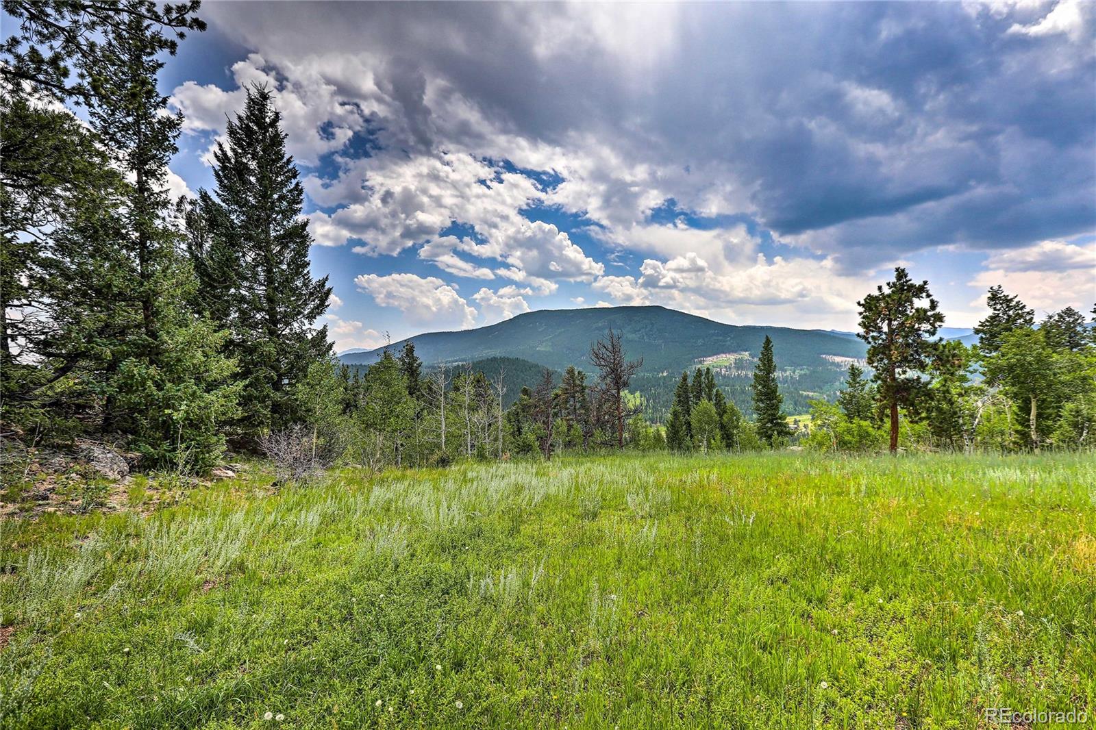 345 Old Sawmill Road Bailey, CO 80421 - Photo 38 of 39 a view of a garden