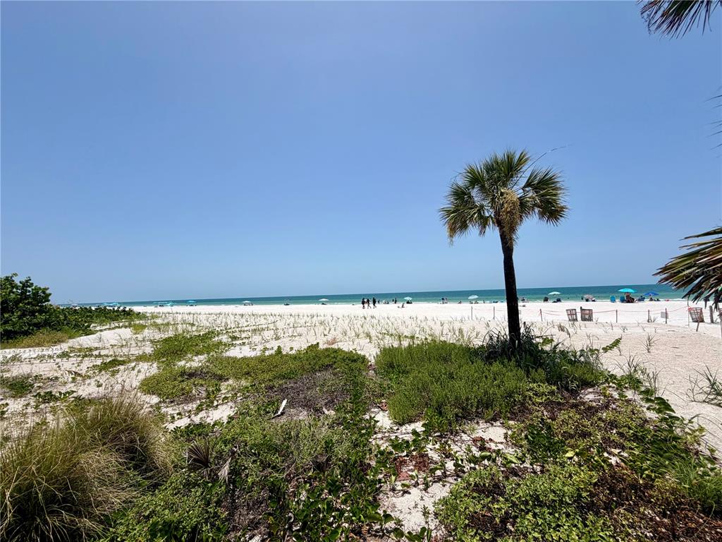 350 Gulf Boulevard, Unit 1 Indian Rocks Beach, FL 33785 - Photo 2 of 12