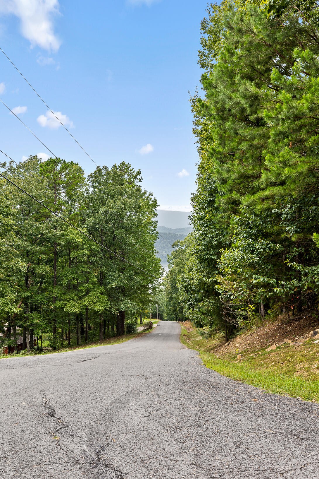 0 Bluffs N Road Guild, TN 37340 - Photo 18 of 21 Gallery Image 18