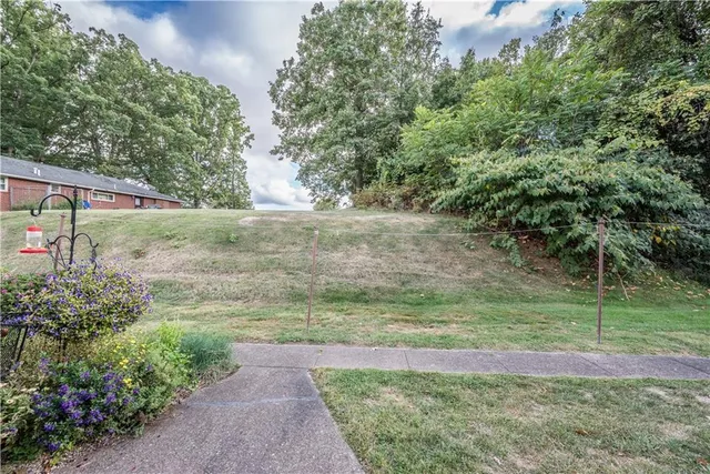 a view of backyard with green space