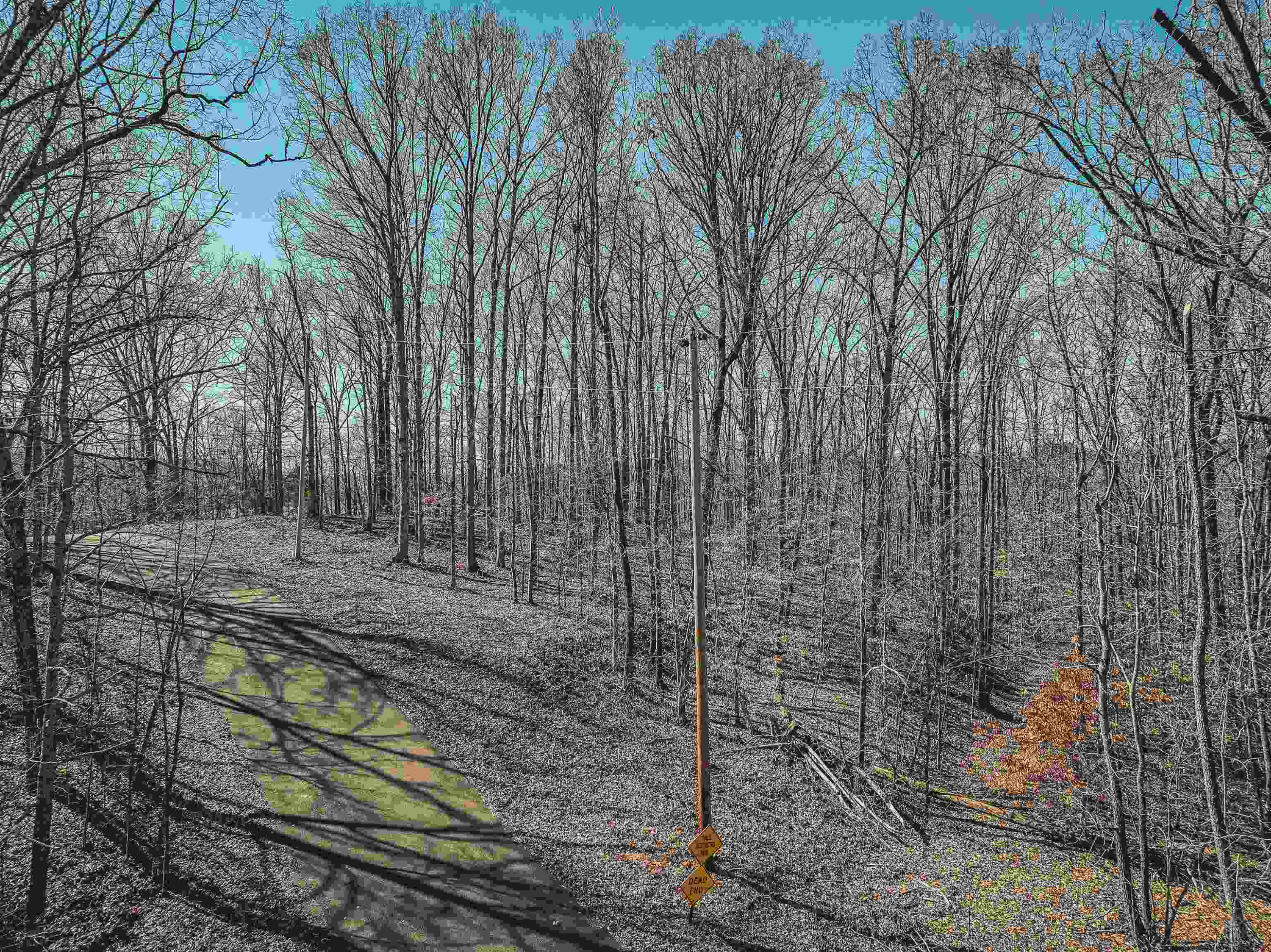 Lot 425 Fawn Ridge Road Parsons, TN 38363 - Photo 6 of 21 a view of a yard with large trees