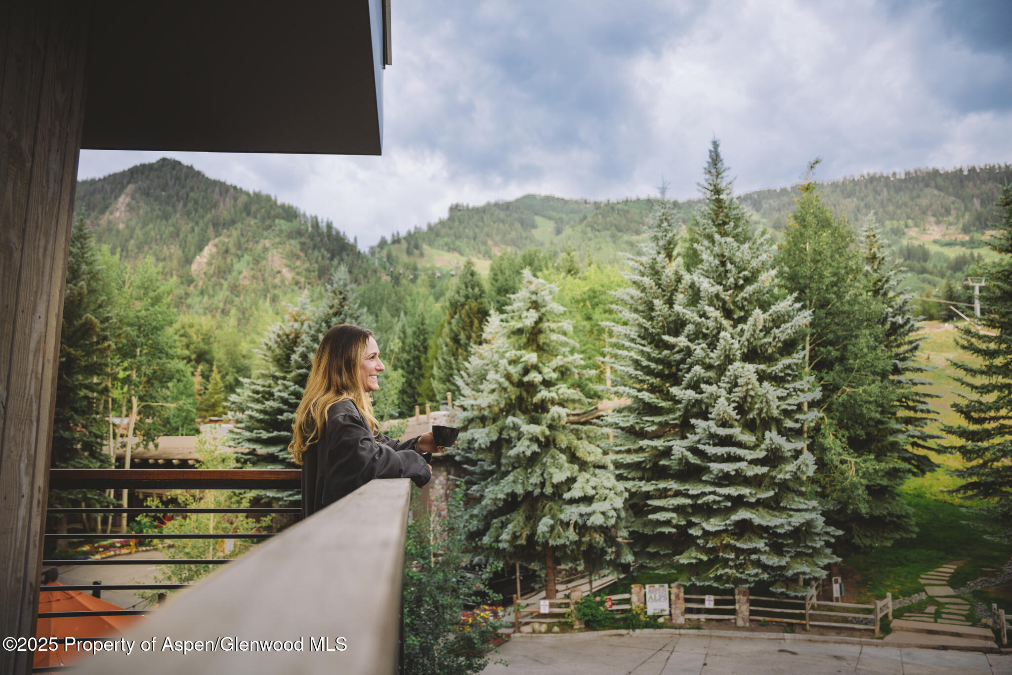 550 South Spring Street, Unit F21 Aspen, CO 81611 - Photo 8 of 12 a view of a yard