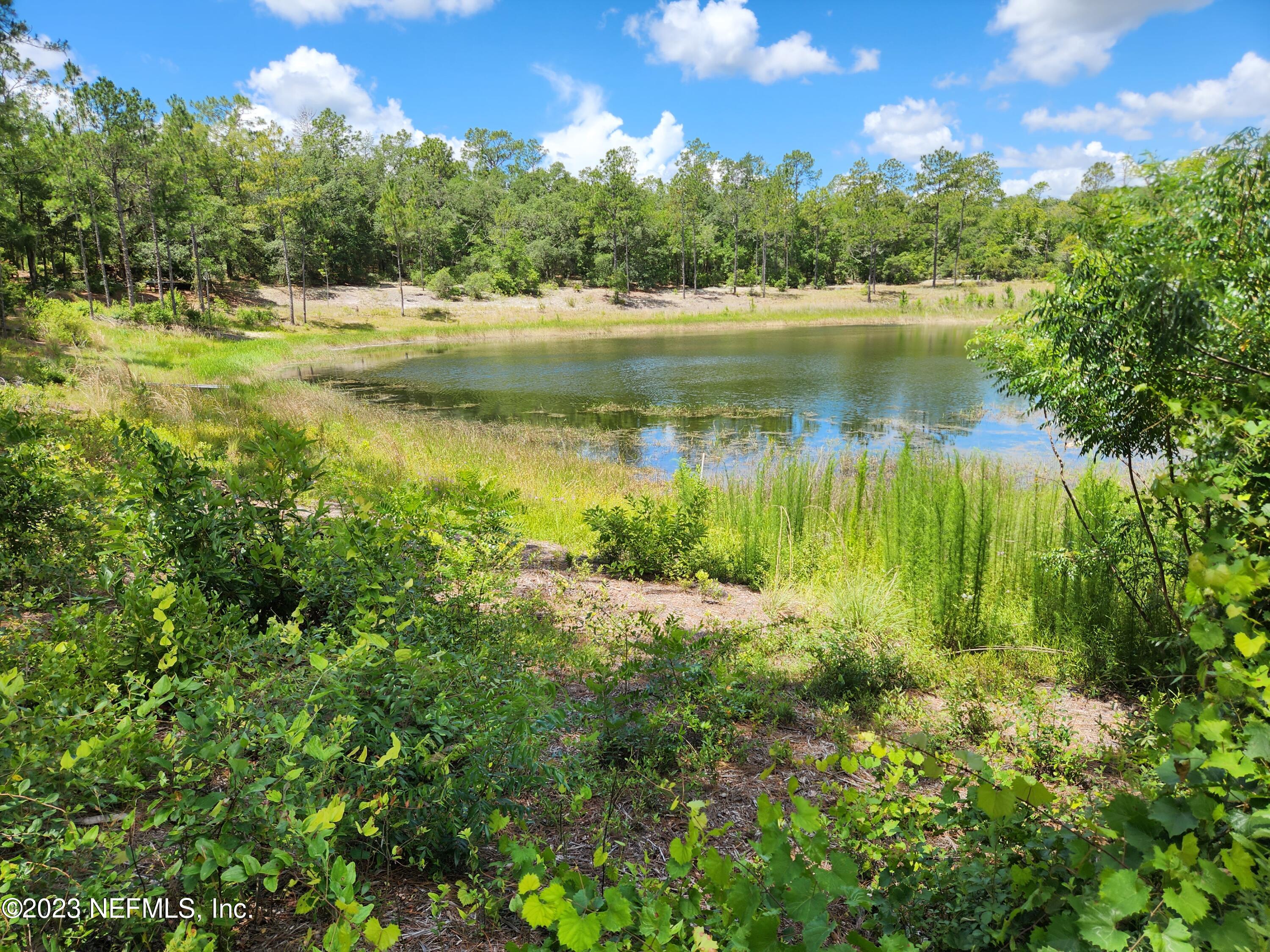 a view of a lake with a yard