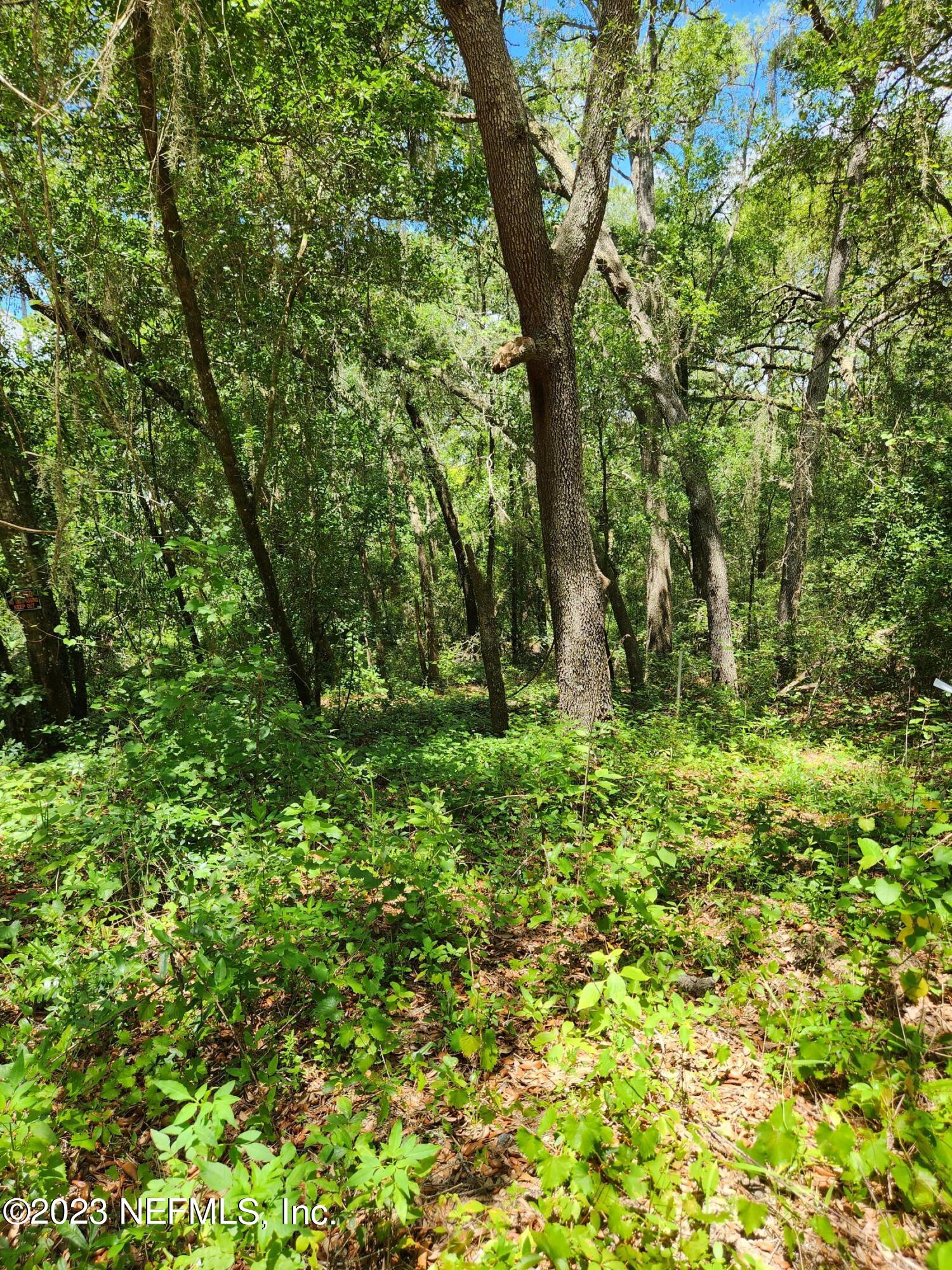 4534 Alan Lake Road Keystone Heights, FL 32656 - Photo 11 of 15 a view of outdoor space and green space
