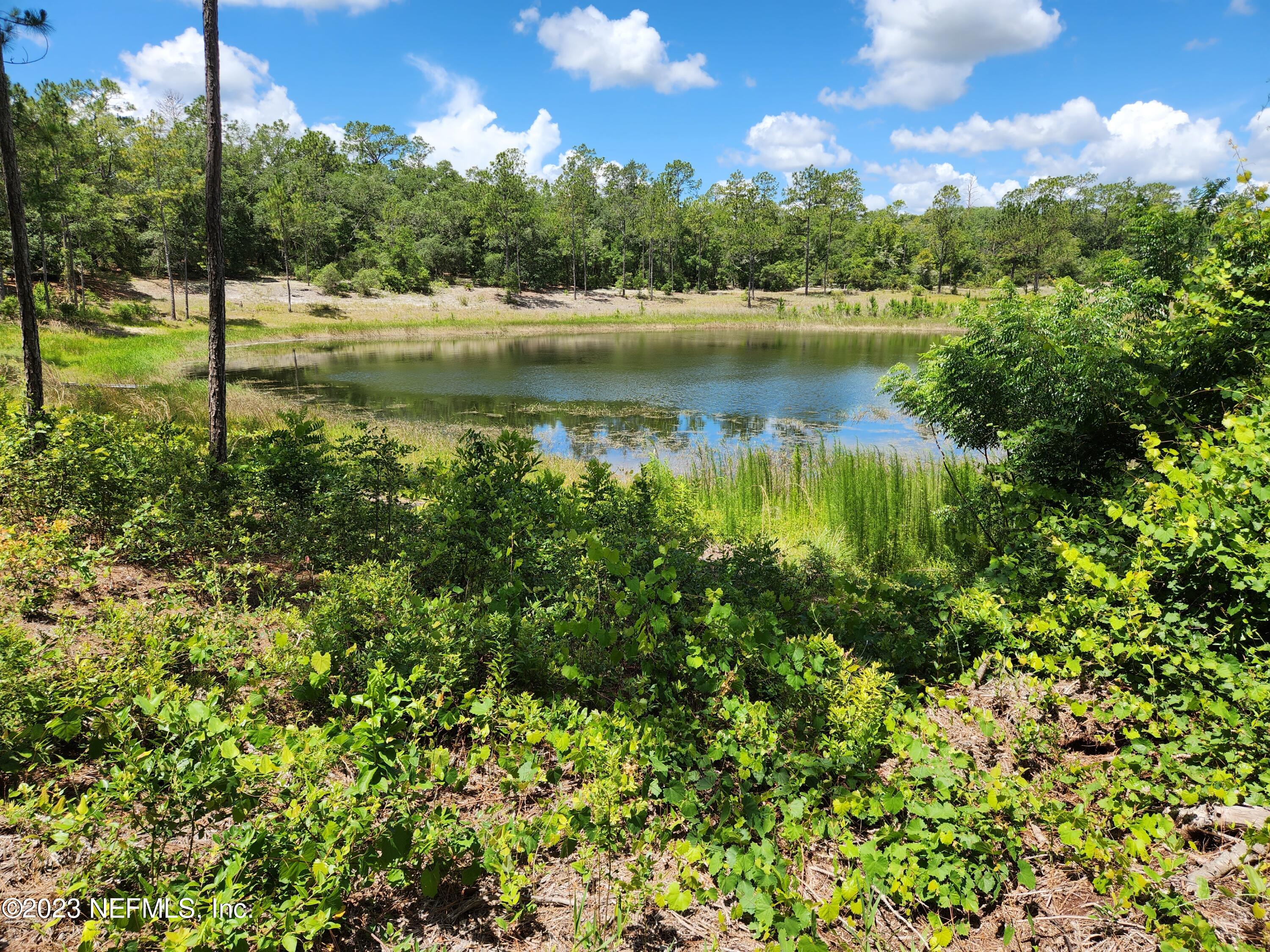 4534 Alan Lake Road Keystone Heights, FL 32656 - Photo 12 of 15 a view of a lake with a house in the background