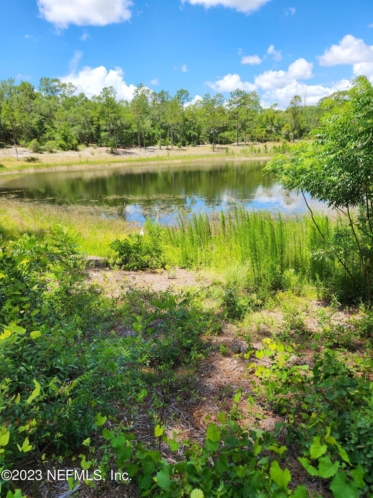 4534 Alan Lake Road Keystone Heights, FL 32656 - Photo 5 of 15 a view of a lake with a yard