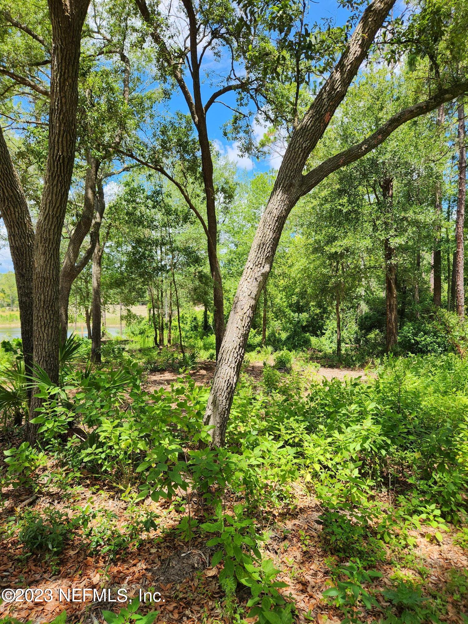 4534 Alan Lake Road Keystone Heights, FL 32656 - Photo 8 of 15 a plant view in yard