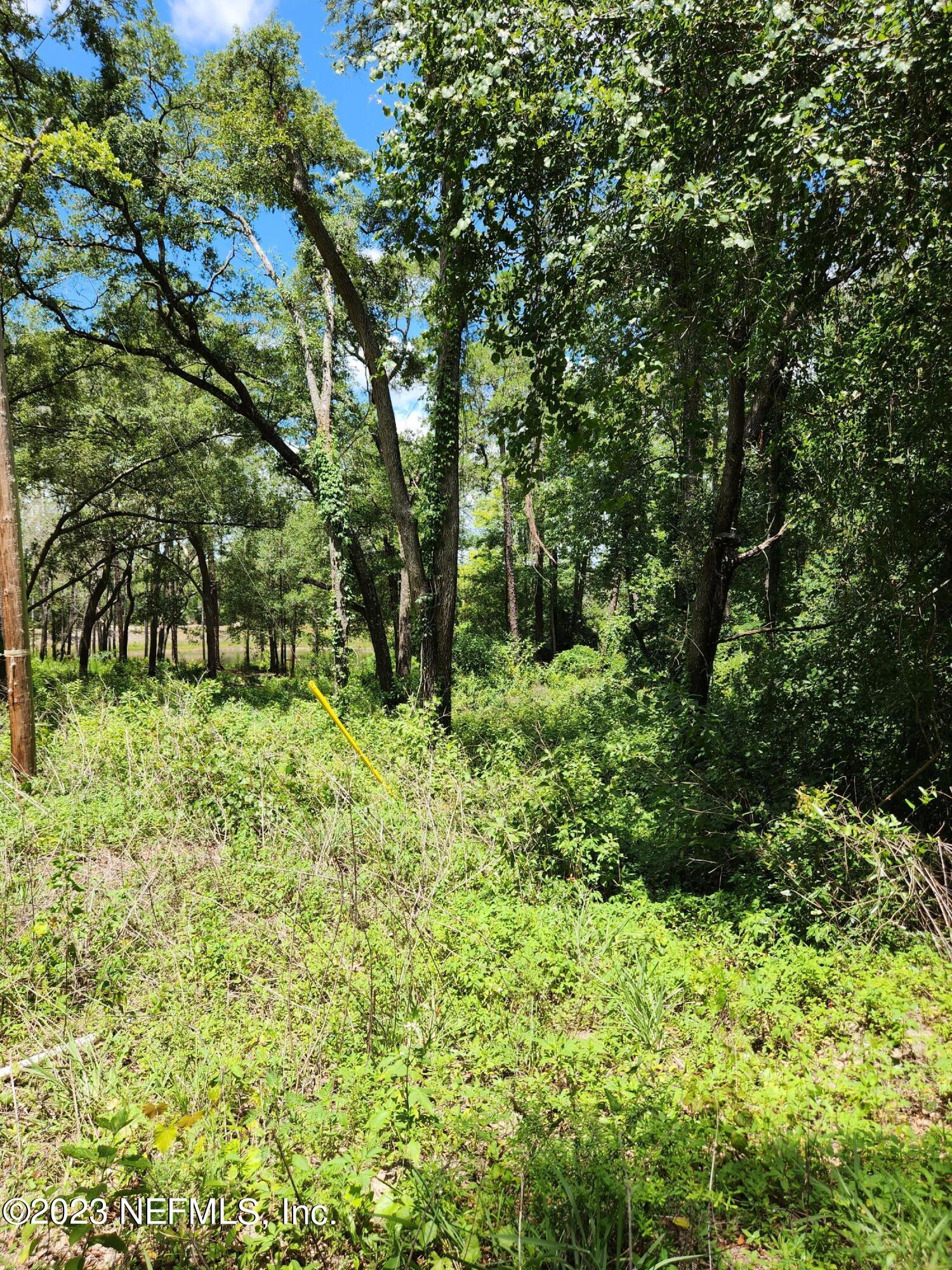 4534 Alan Lake Road Keystone Heights, FL 32656 - Photo 9 of 15 a view of outdoor space