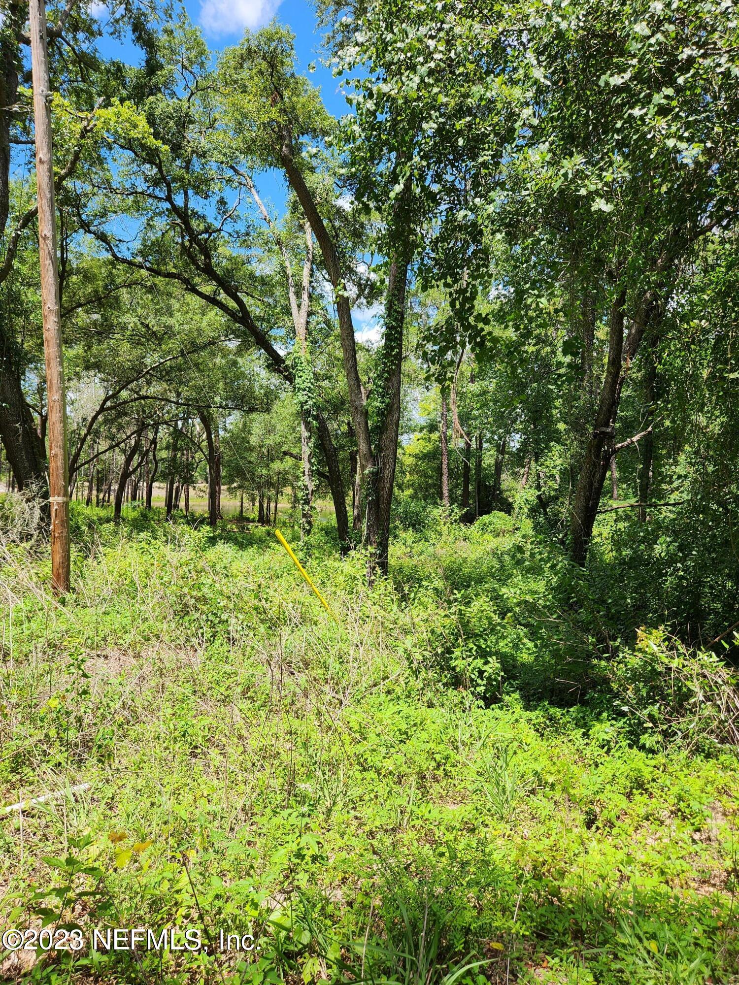 4534 Alan Lake Road Keystone Heights, FL 32656 - Photo 10 of 15 a green field with lots of trees