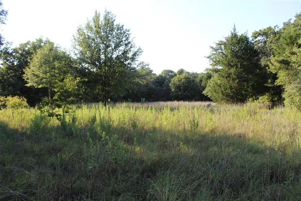 an aerial view of residential house with outdoor space