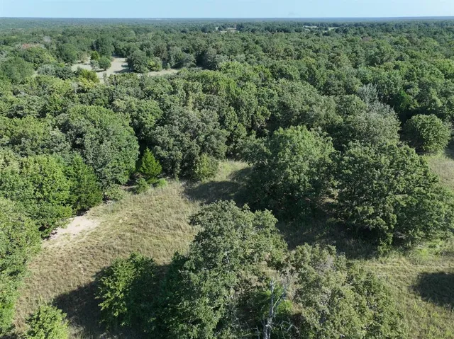 a view of a field of grass and trees