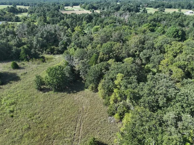 a view of a garden with a building