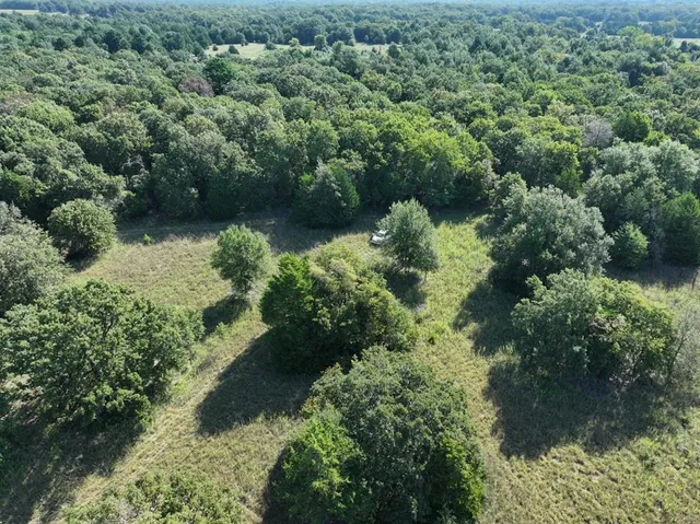 a view of a forest with a building