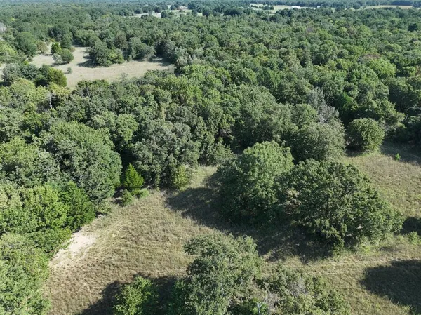 a view of a large yard with lots of green space