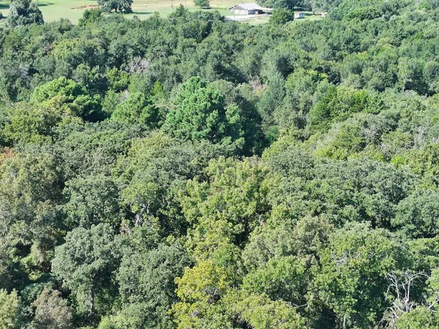 an aerial view of residential house with green space
