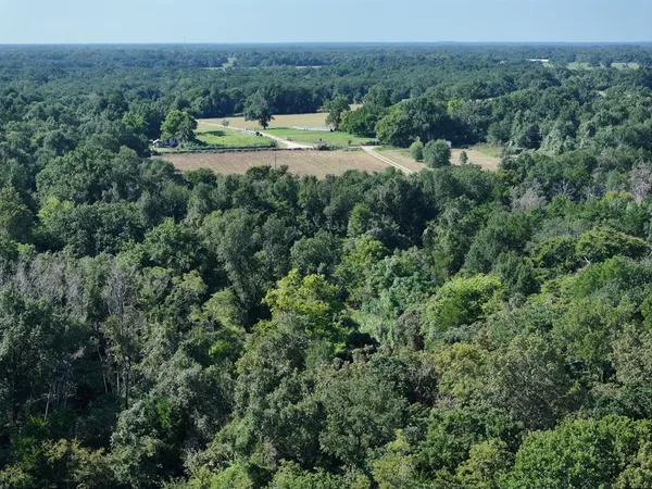 an aerial view of mountain with trees around