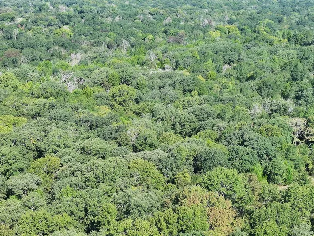 an aerial view of residential house with outdoor space and trees all around