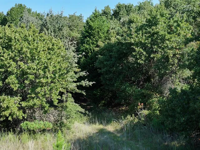 a view of a lake view