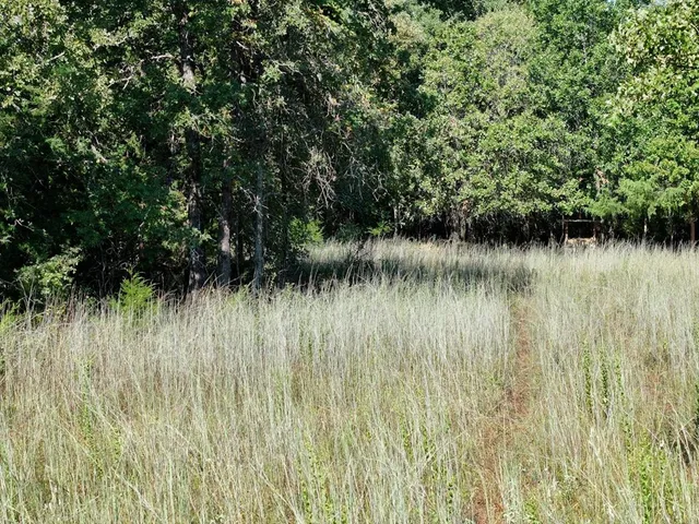 an aerial view of residential houses with outdoor space and trees