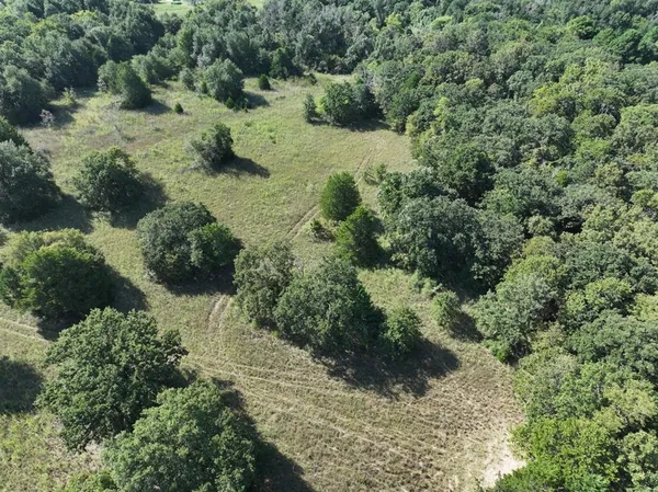 a view of a lush green forest with lots of trees