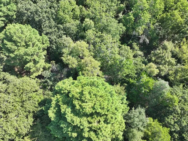 an aerial view of residential house with outdoor space and trees all around