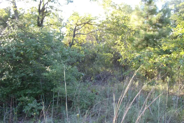 a view of a lake view with a green space