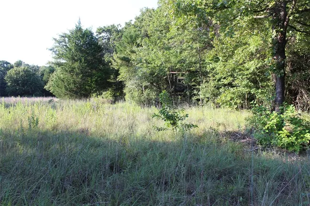 a view of lake with green space