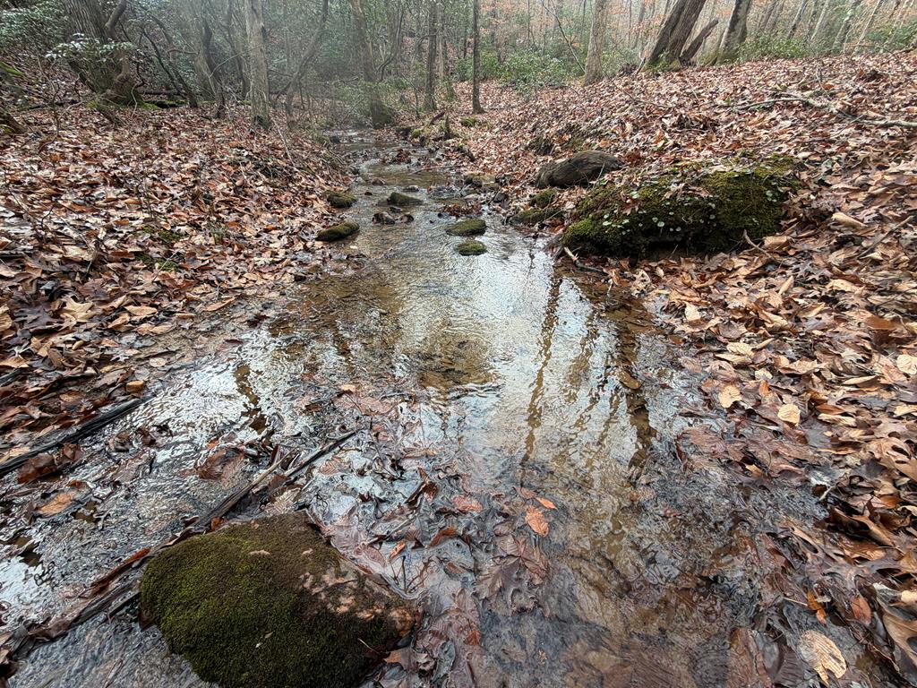 811 Mangum's Trail Blue Ridge, GA 30513 - Photo 66 of 70