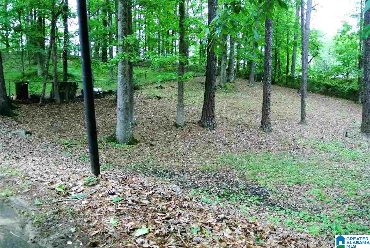 2303 Kala Street Helena, AL 35080 - Photo 12 of 17 Gallery Image 12