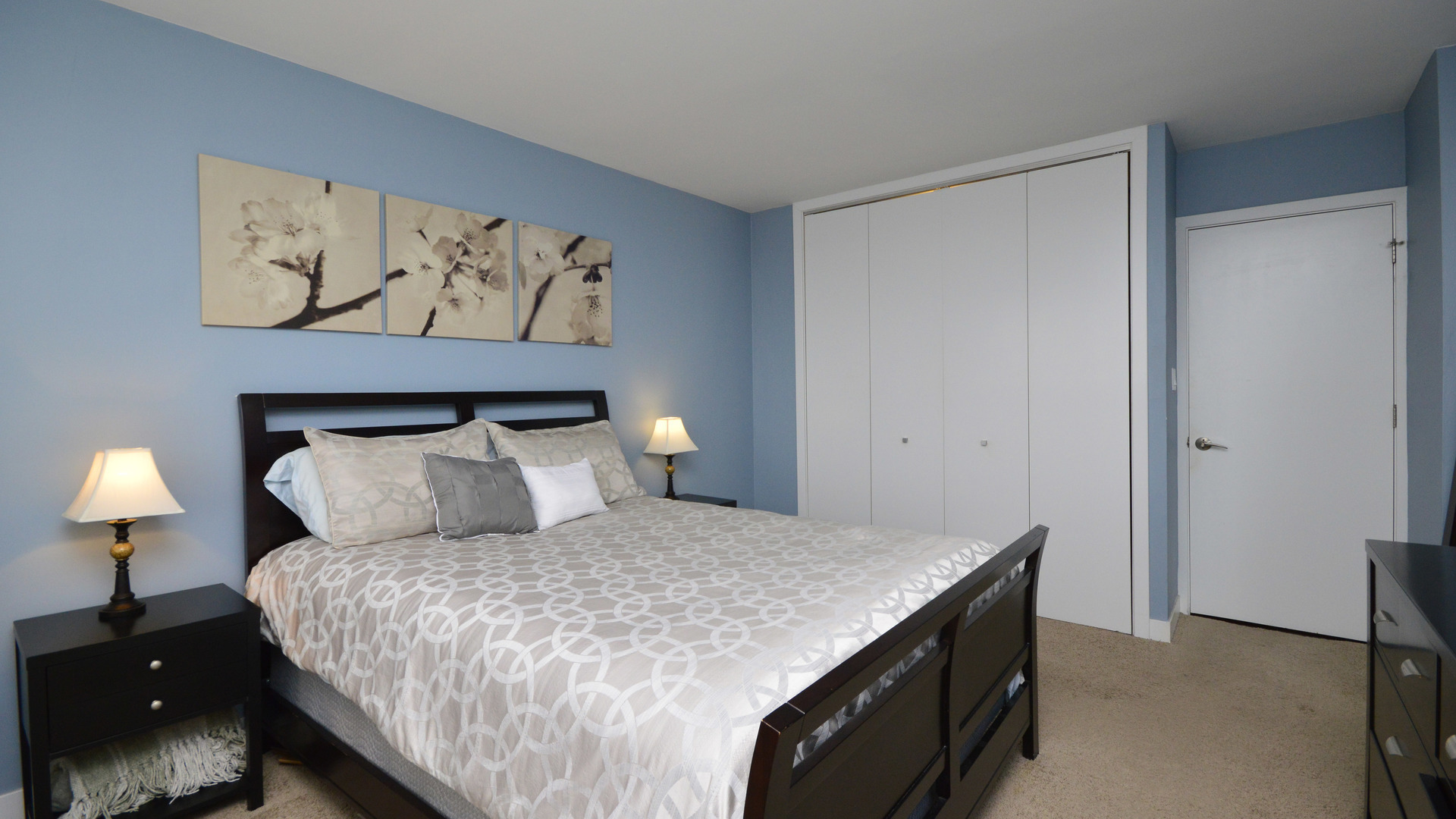 2930 North Sheridan Road, Unit 2105 Chicago, IL 60657 - Photo 8 of 15