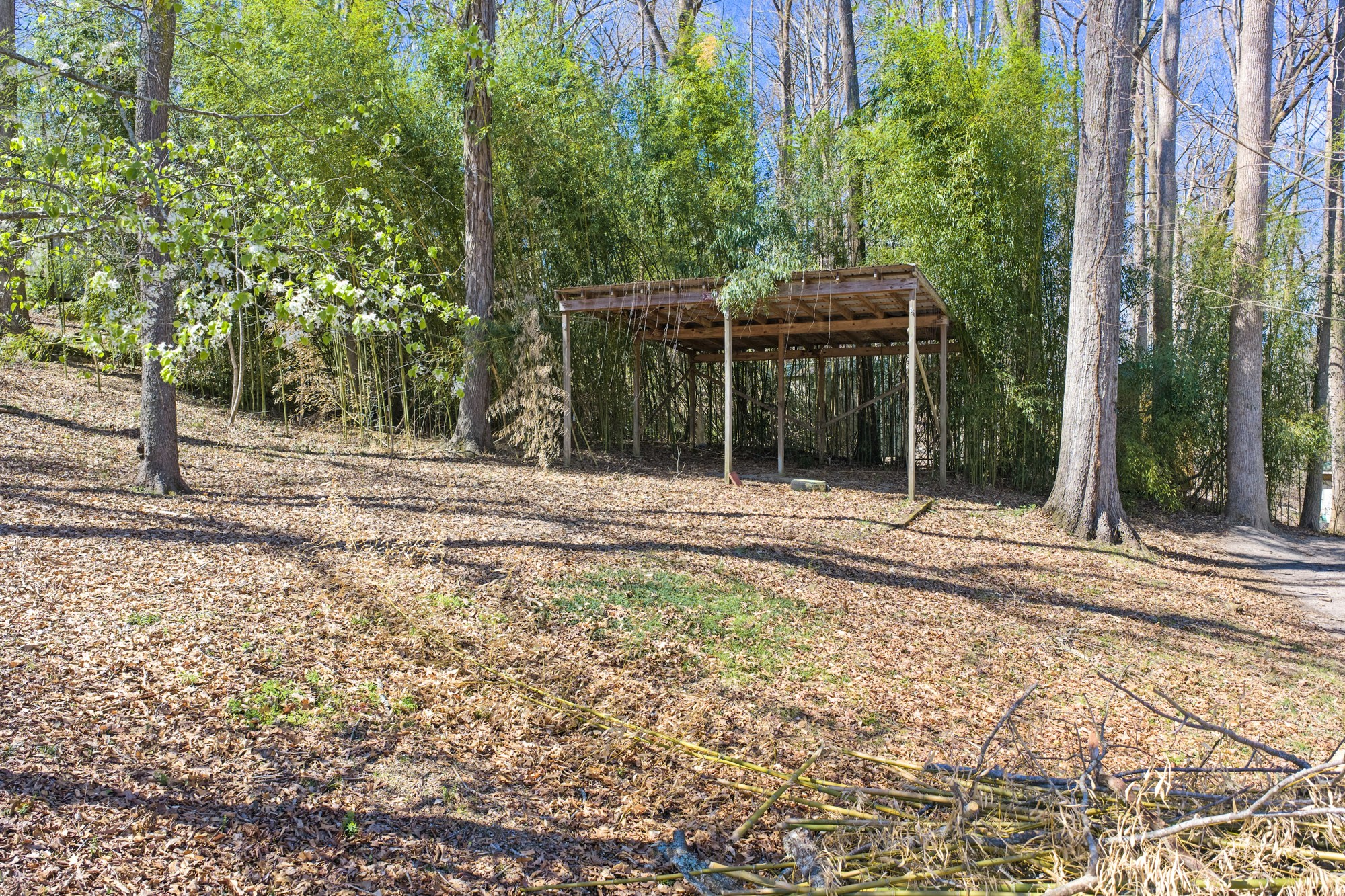 159 Hanklochte Drive Decaturville, TN 38329 - Photo 17 of 31