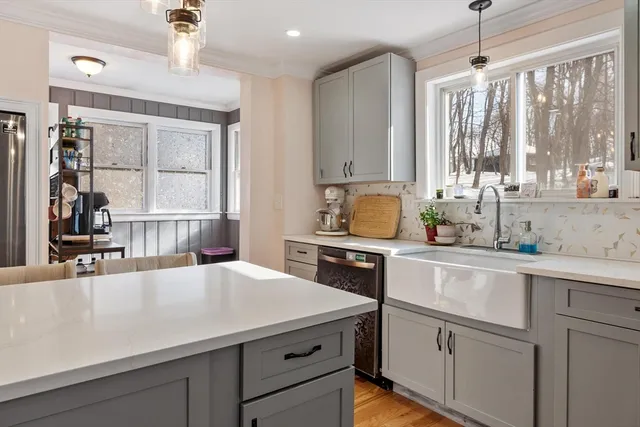 a kitchen with a sink and a potted plant