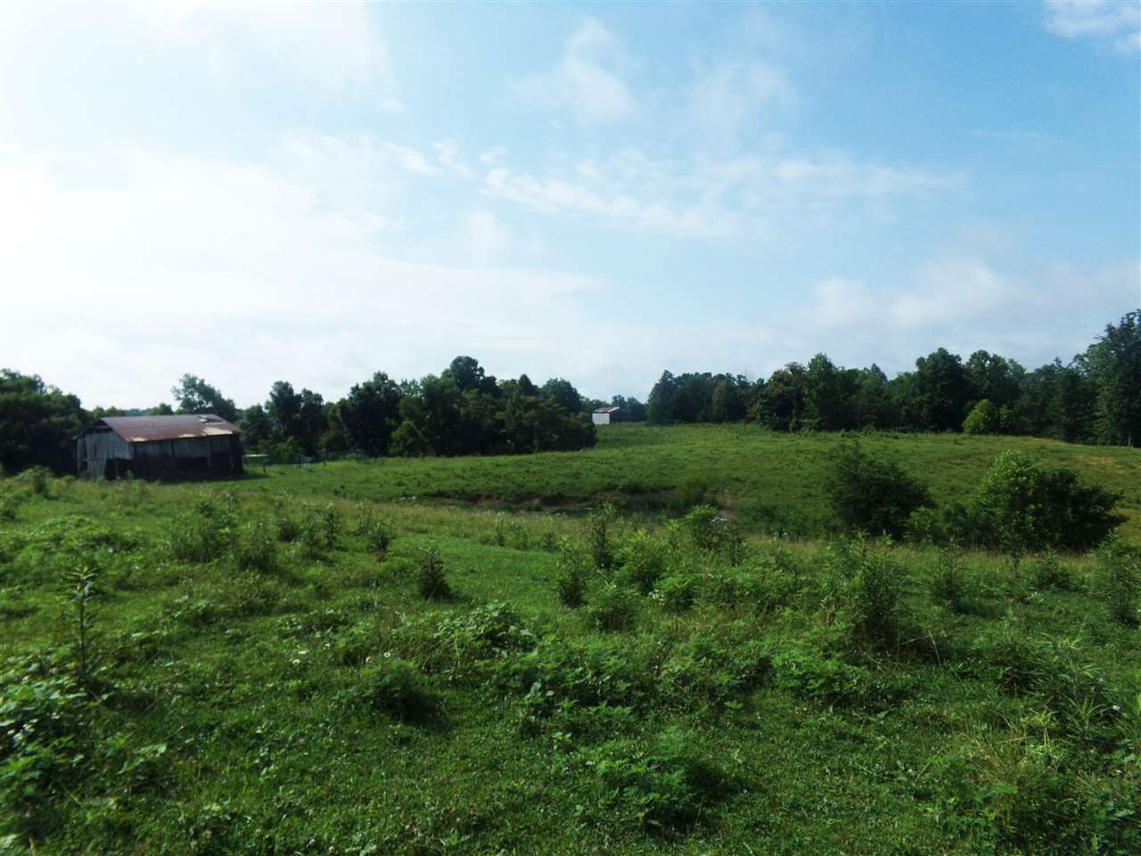 0 Leatherwood Road Garrison, KY 41141 - Photo 1 of 1 Gallery Image 1