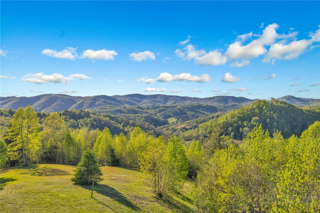 5939 Big Laurel Road Creston, NC 28615 - Photo 6 of 50