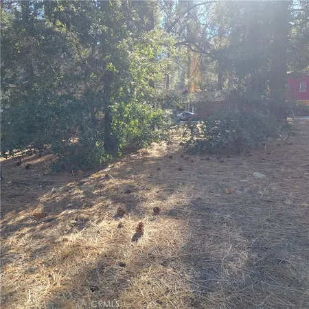 a view of a yard with large trees