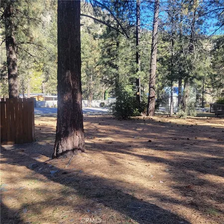 a view of a yard with large trees