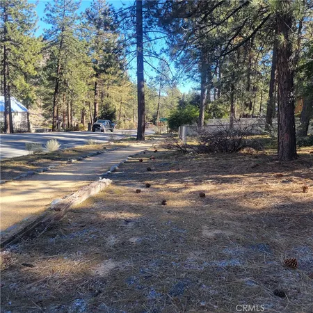 a view of a yard with large trees
