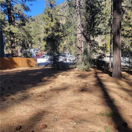 a view of yard with trees